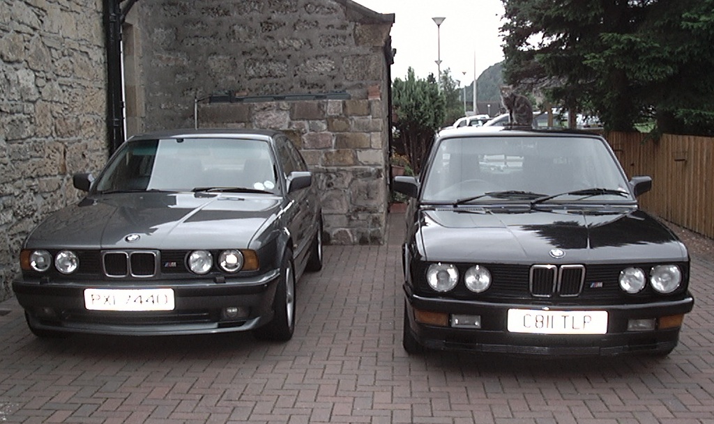 BMW E28 and E34
